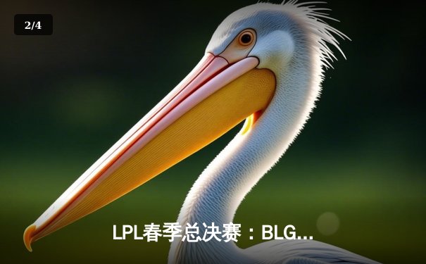 LPL春季总决赛：BLG鏖战五局力克JDG夺冠，Knight斩获FMVP - 2